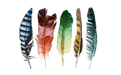 Mystický význam krídel a peria vtákov