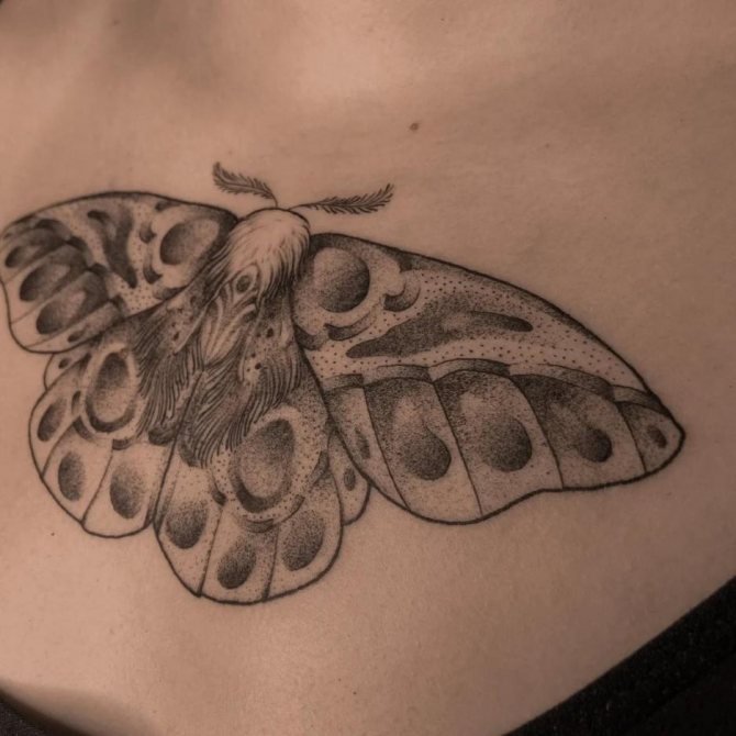 Moth tatovering