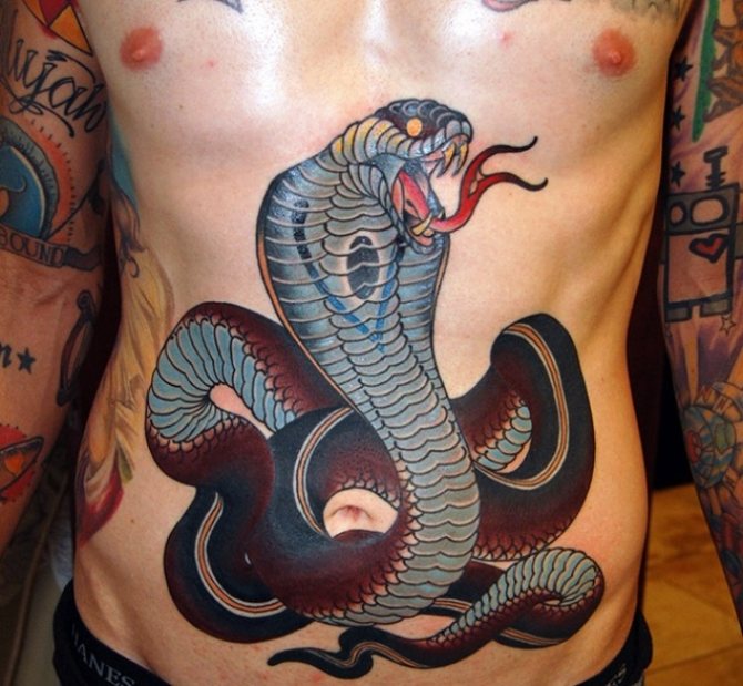 Tatuaj cobra masculină pe stomacul bărbatului