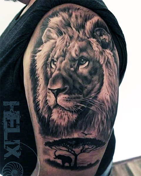 Mies tatuointi leijona käsivarteensa