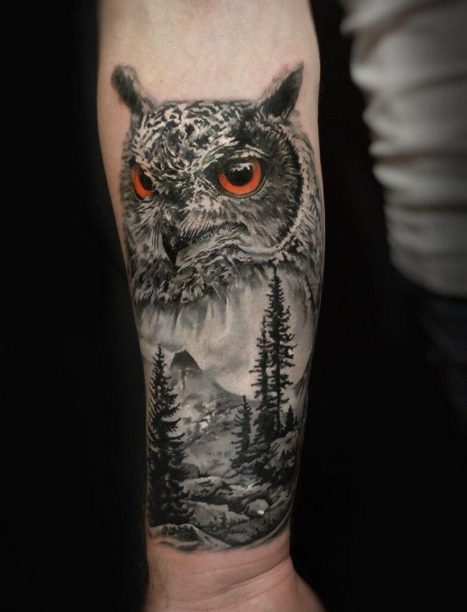 Mies tatuointi kyynärvarressa - pöllö