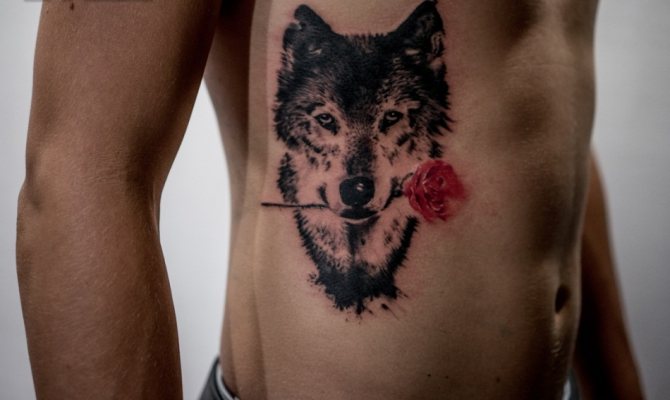 De getatoeëerde wolf met een roos tussen zijn tanden