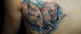 elefánt tetoválás