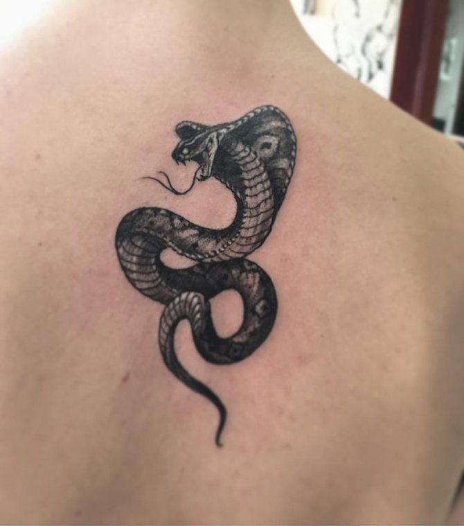 蛇の刺青