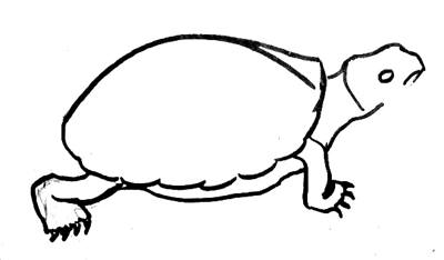 Bruņurupuča zīmēšana