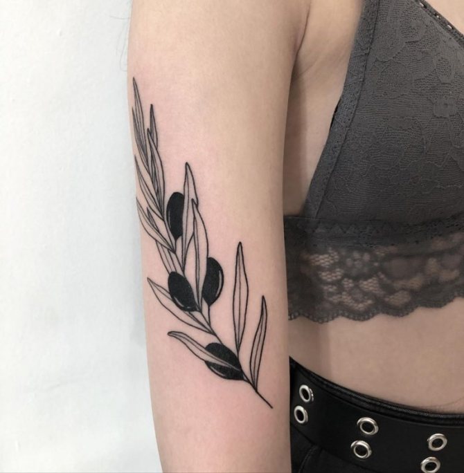 значение на татуировката с маслинови клонки