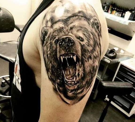 Urso craca no ombro