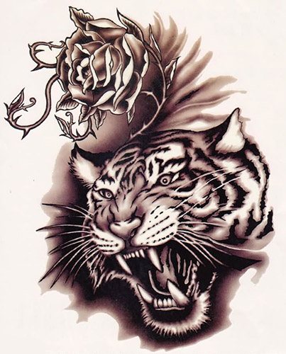 Il sorriso della tigre. Foto, significato, su spalla, sterno, braccio, gamba