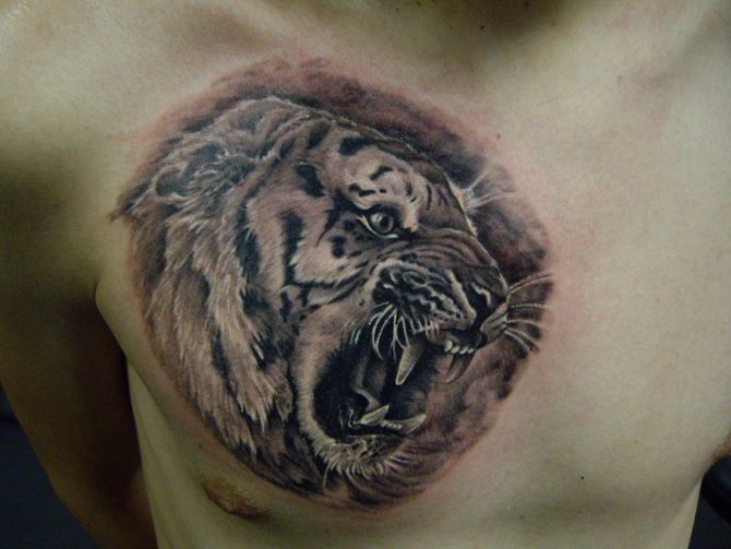 татуировка с тигрова усмивка