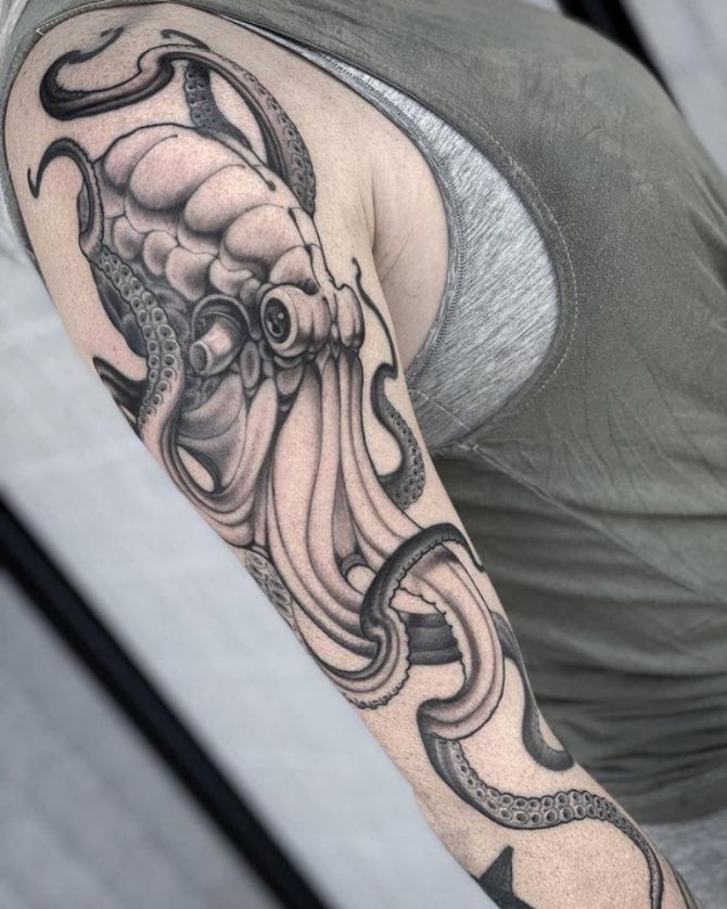 blæksprutte tatovering design