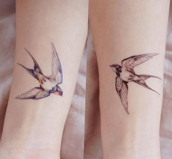 Parat tatuering av svalor - feminin och vacker