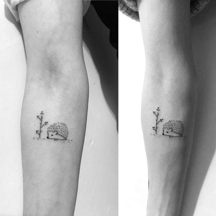 Tatuaggio del riccio accoppiato - opzione carina per le ragazze