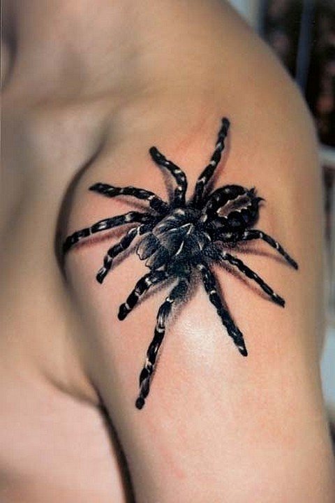 Un ragno sulla spalla di un uomo.