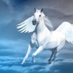 Pegasus - o que é esta criatura na mitologia antiga?
