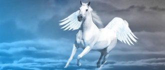 Pegasus - hvad er dette væsen i den antikke mytologi?
