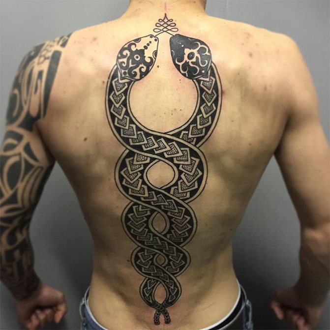 Prepletený had na chrbte