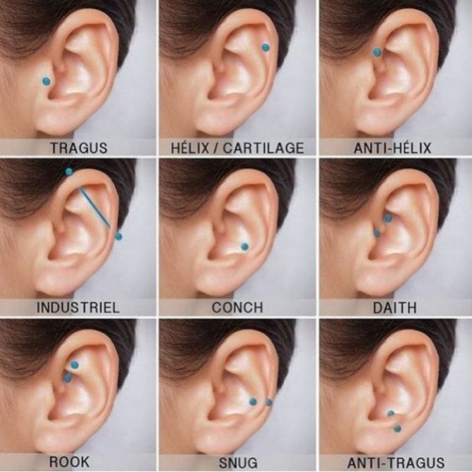 ausies auskarų vėrimo nuotrauka