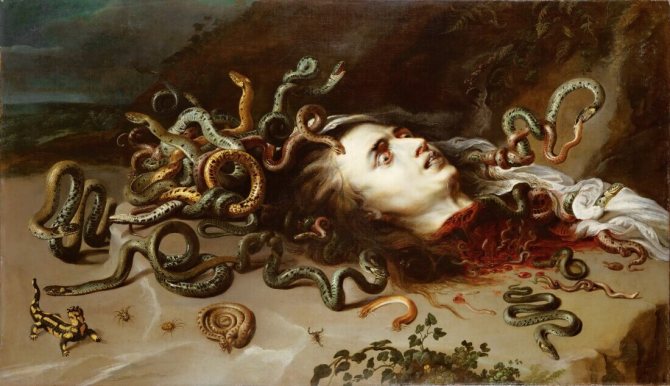 Peter Paul Rubens - A Medúza feje