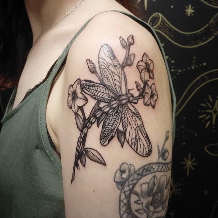 Valikoima tatuointeja teemalla: Sudenkorento. Olkapää