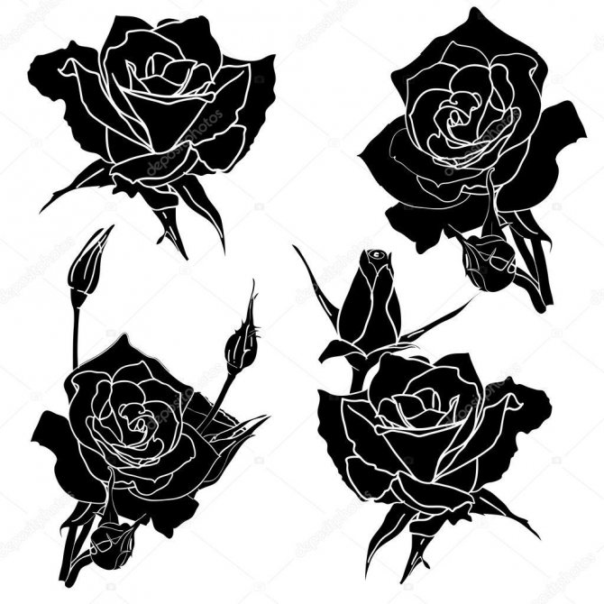 Gražūs rožių tatuiruočių dizainai
