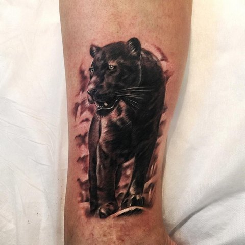 Panthers paprasta tatuiruotė