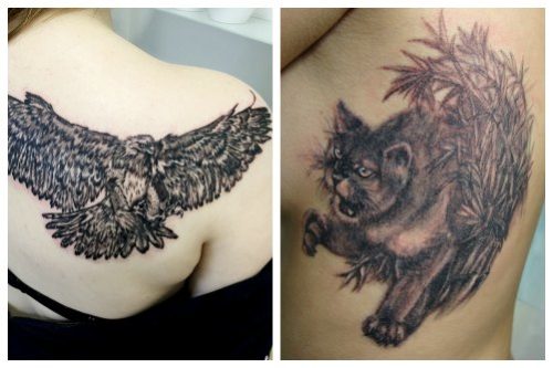 O pasăre și o pisică pe corpul unei femei