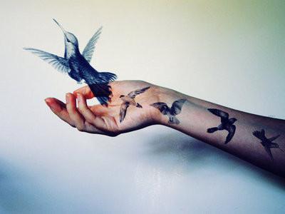 Aves em tatuagem à mão