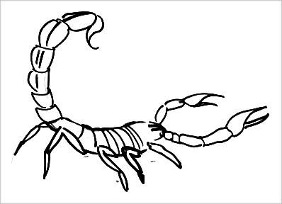 Scorpion à colorier