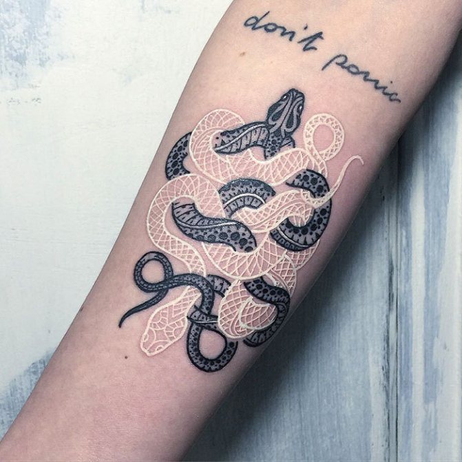 Vari tatuaggi di serpenti