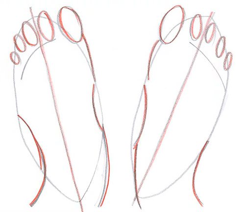 Kreslení dvou nohou - pohled shora - krok 5