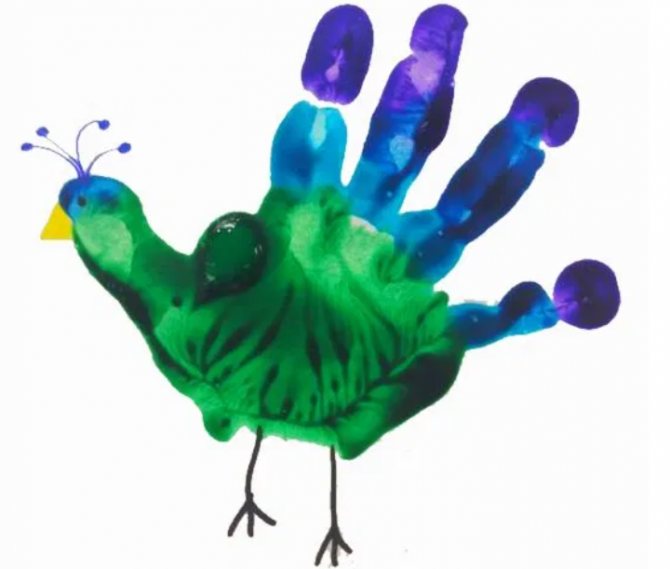 Desenhar à mão um pavão