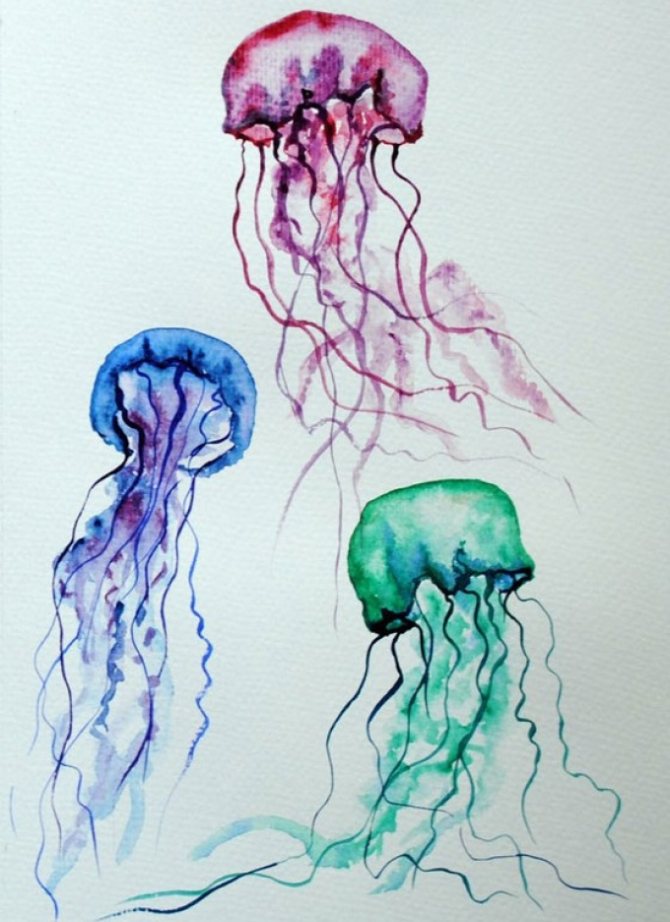Desene cu meduze utile pentru tatuaje