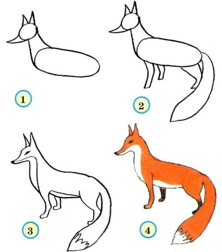 Desenho de uma raposa a lápis para crianças esboçando passo a passo de um conto de fadas, uma fábula, formas geométricas, símbolos