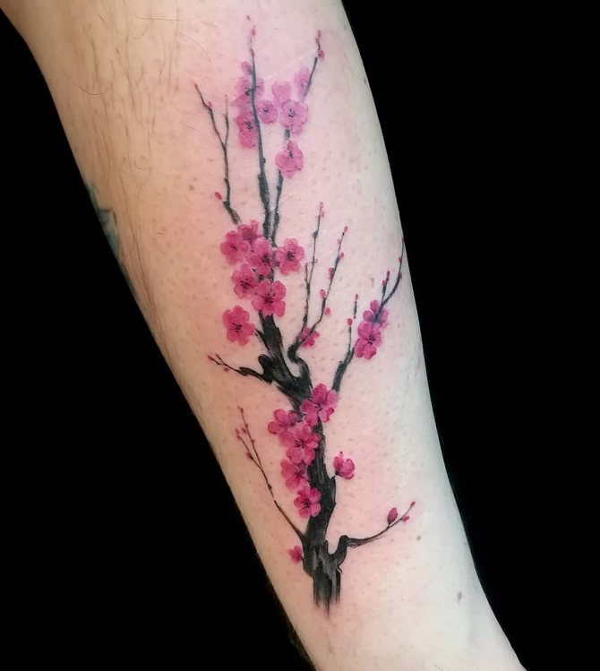 手のひらに桜の木のタトゥー