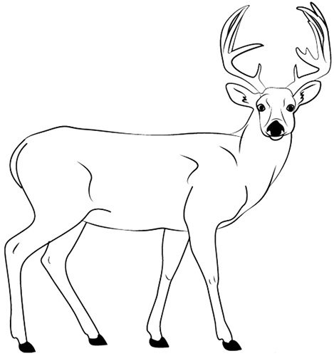 Desenho de renas a lápis para crianças: cor, preto e branco: norte, Ano Novo, geométrico, floresta