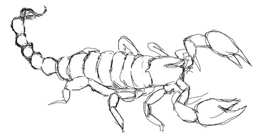 Tegning af en skorpion
