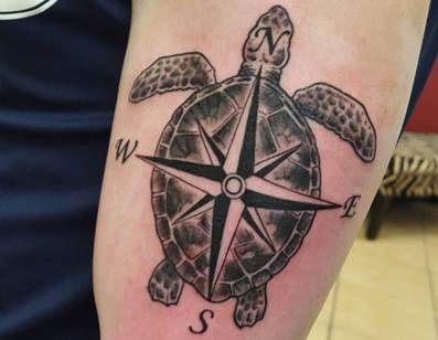 O braço do marinheiro. Imagem da tartaruga
