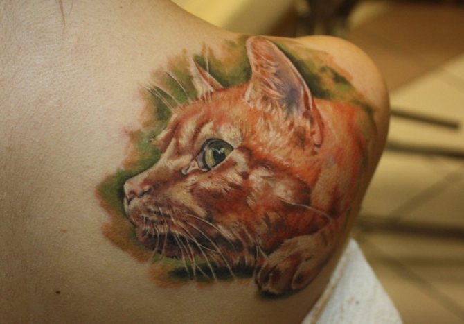 Tetovanie červenej mačky
