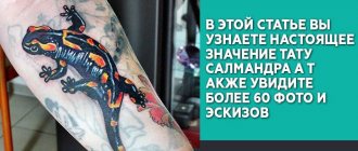 Szalamandra tetoválás jelentése