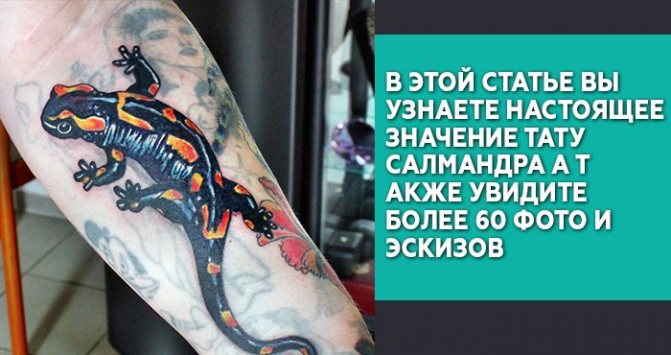 Szalamandra tetoválás jelentése