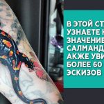 Σημασία τατουάζ σαλαμάνδρας