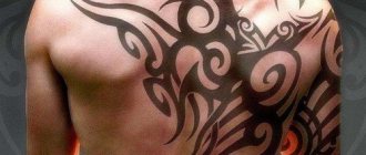 最酷的男人纹身 - 照片，趋势，男人的纹身想法