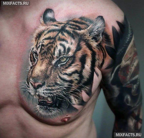 A legnépszerűbb tetoválások a férfiak számára és jelentésük