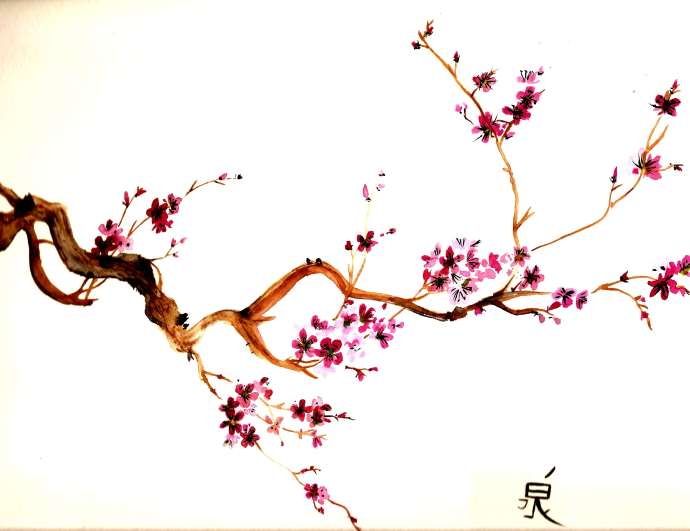 schiță de flori de cireș