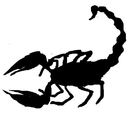 Egy skorpió sziluettje