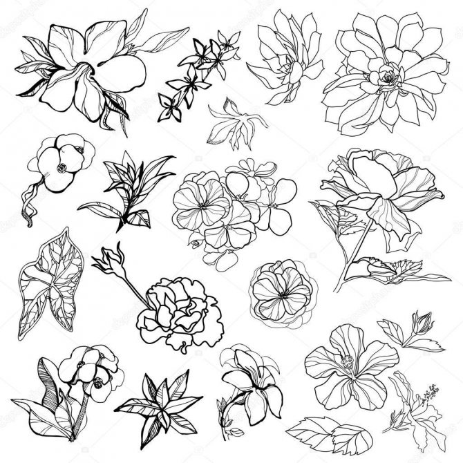 Χαριτωμένα σχέδια για τατουάζ λουλουδιών