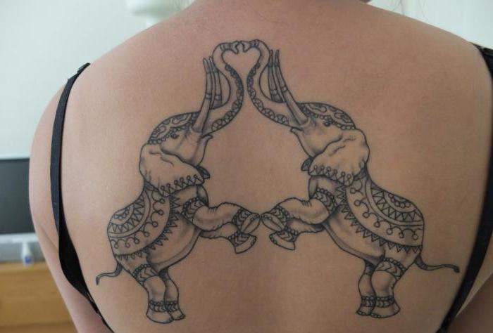 έννοια τατουάζ ελέφαντα