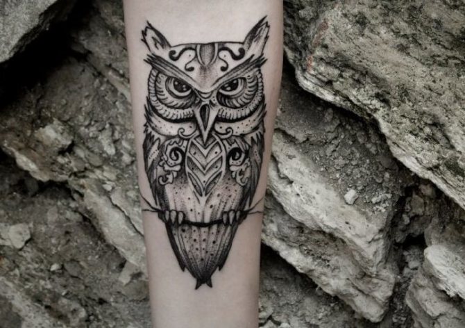 Owl tätoveering