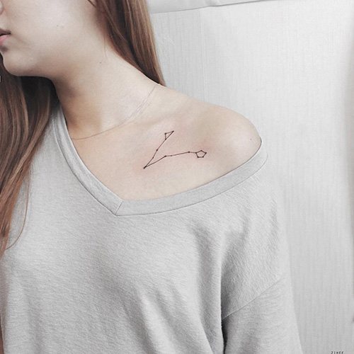 A tatuagem da constelação Pisces. Foto, ou seja, esboços no braço, clavícula, costelas, pescoço