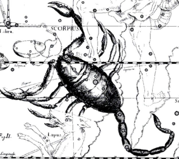 Stjernebilledet Skorpionen. Illustration fra det astronomiske atlas Uranography af J. Hevelius. Hevelius.
